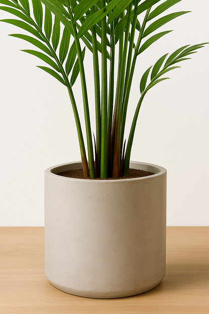 TropenTraum™- Künstlicher Palmenbaum