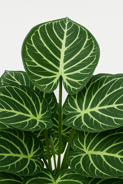 TropenTraum™- Künstliche Kristall-Anthurie