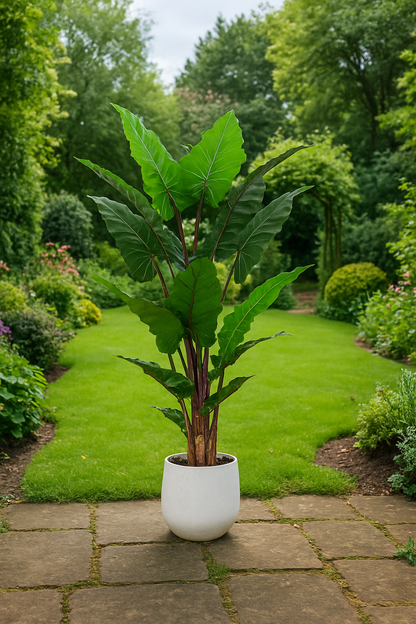 TropenTraum™- Künstliche rote Calla Lily Pflanze