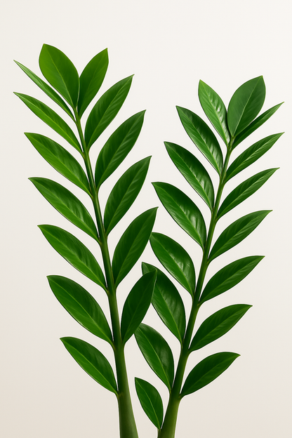 TropenTraum™-  Künstlicher Sansibar-Edelstein