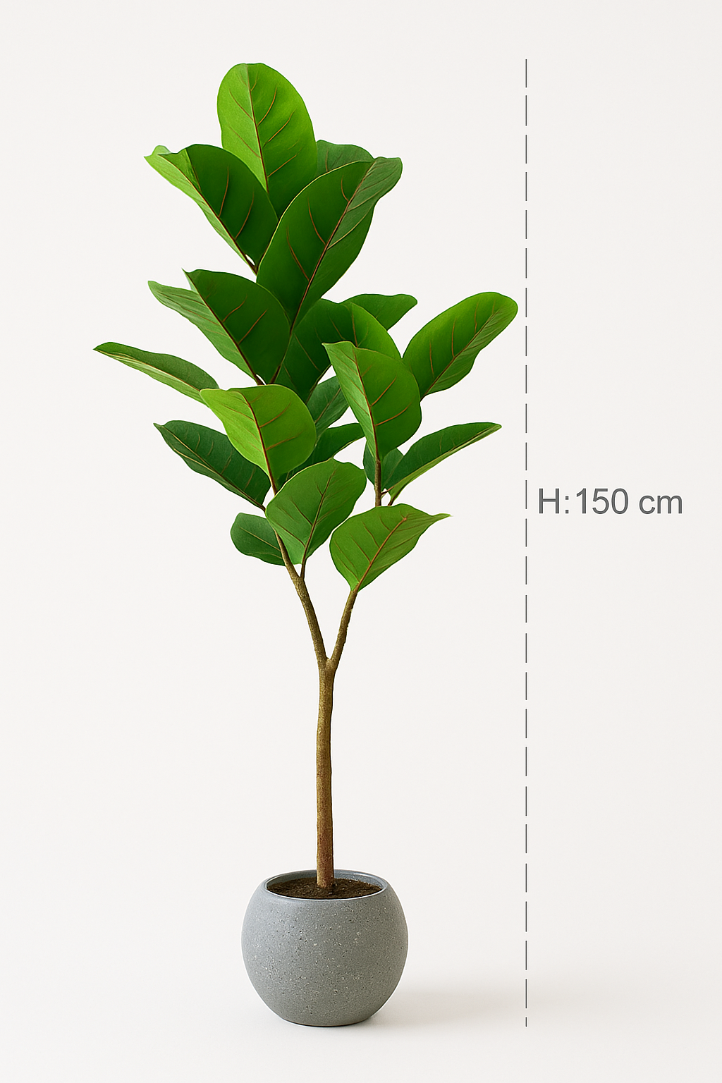 TropenTraum™- Künstlicher Gummibaum