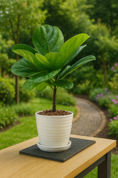 TropenTraum™- Künstliche Qingyerong-Zierpflanze mit Blättern