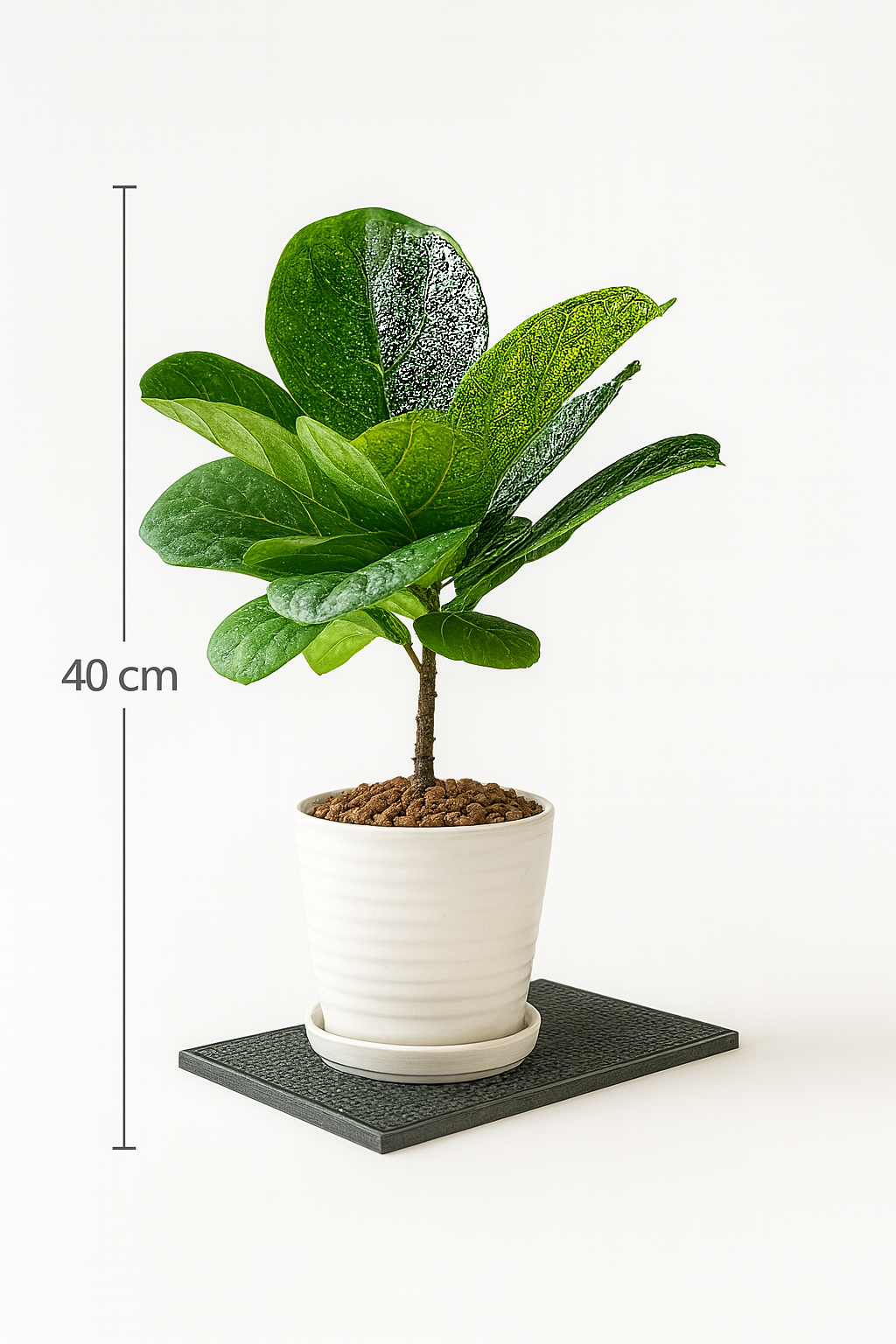 TropenTraum™- Künstliche Qingyerong-Zierpflanze mit Blättern