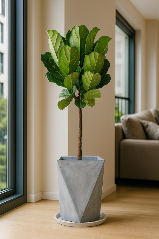 TropenTraum™- Künstliche Geigenbogen-Feigenbäume