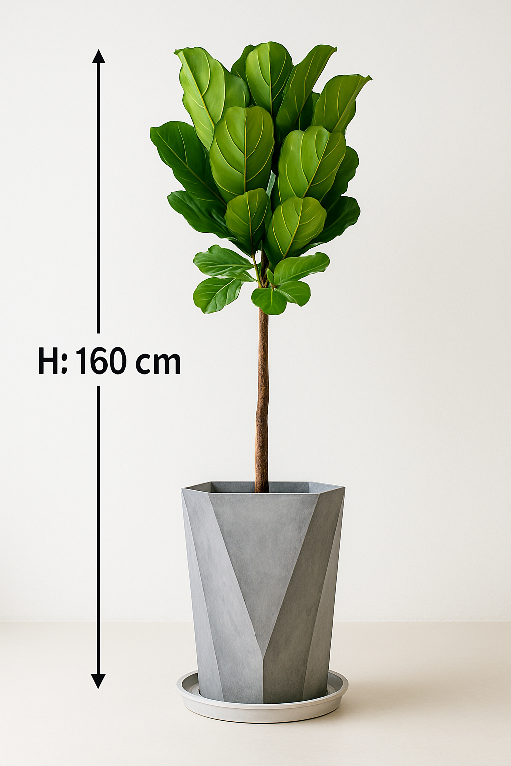 TropenTraum™- Künstliche Geigenbogen-Feigenbäume