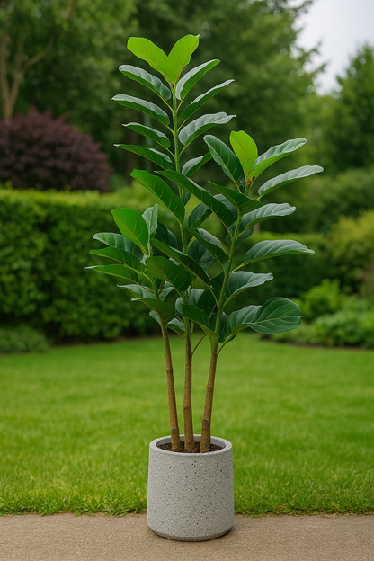 TropenTraum™- Künstlicher Geigenblatt-Banyanbaum