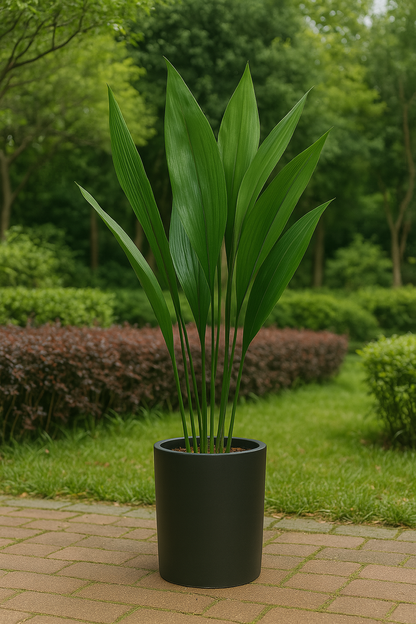 Ostgarten™- Grüne Blattlaus