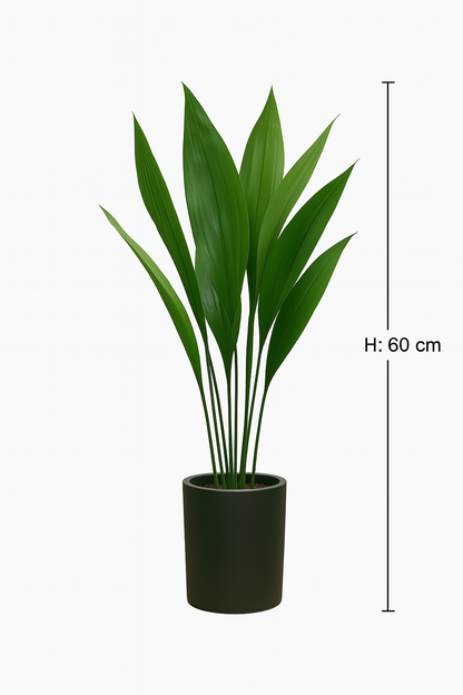 Ostgarten™- Grüne Blattlaus