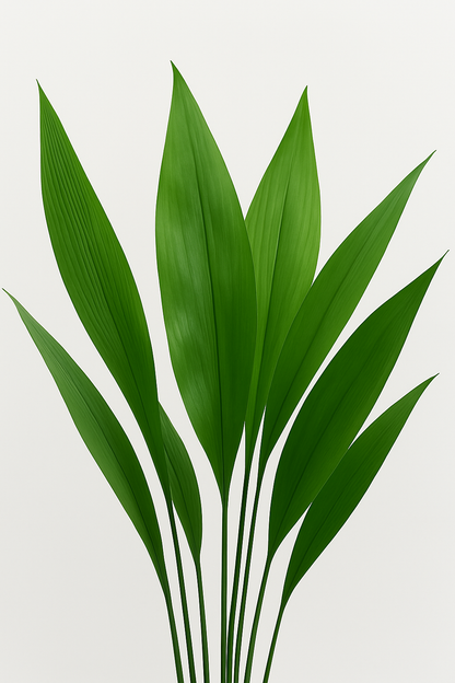 Ostgarten™- Grüne Blattlaus