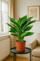 TropenTraum™- Künstlicher Paradiesvogelbaum