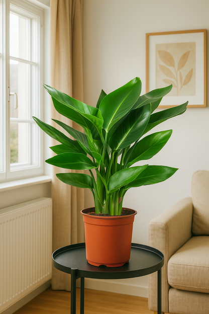 TropenTraum™- Künstlicher Paradiesvogelbaum