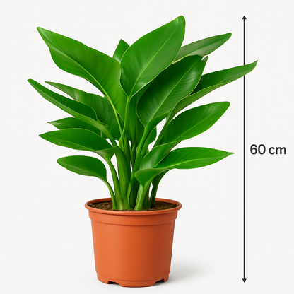 TropenTraum™- Künstlicher Paradiesvogelbaum