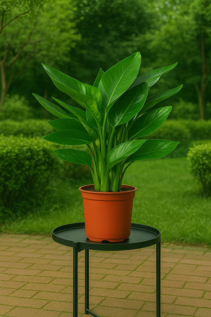 TropenTraum™- Künstlicher Paradiesvogelbaum