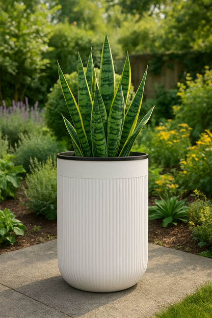 Zylindrischer Standblumentopf