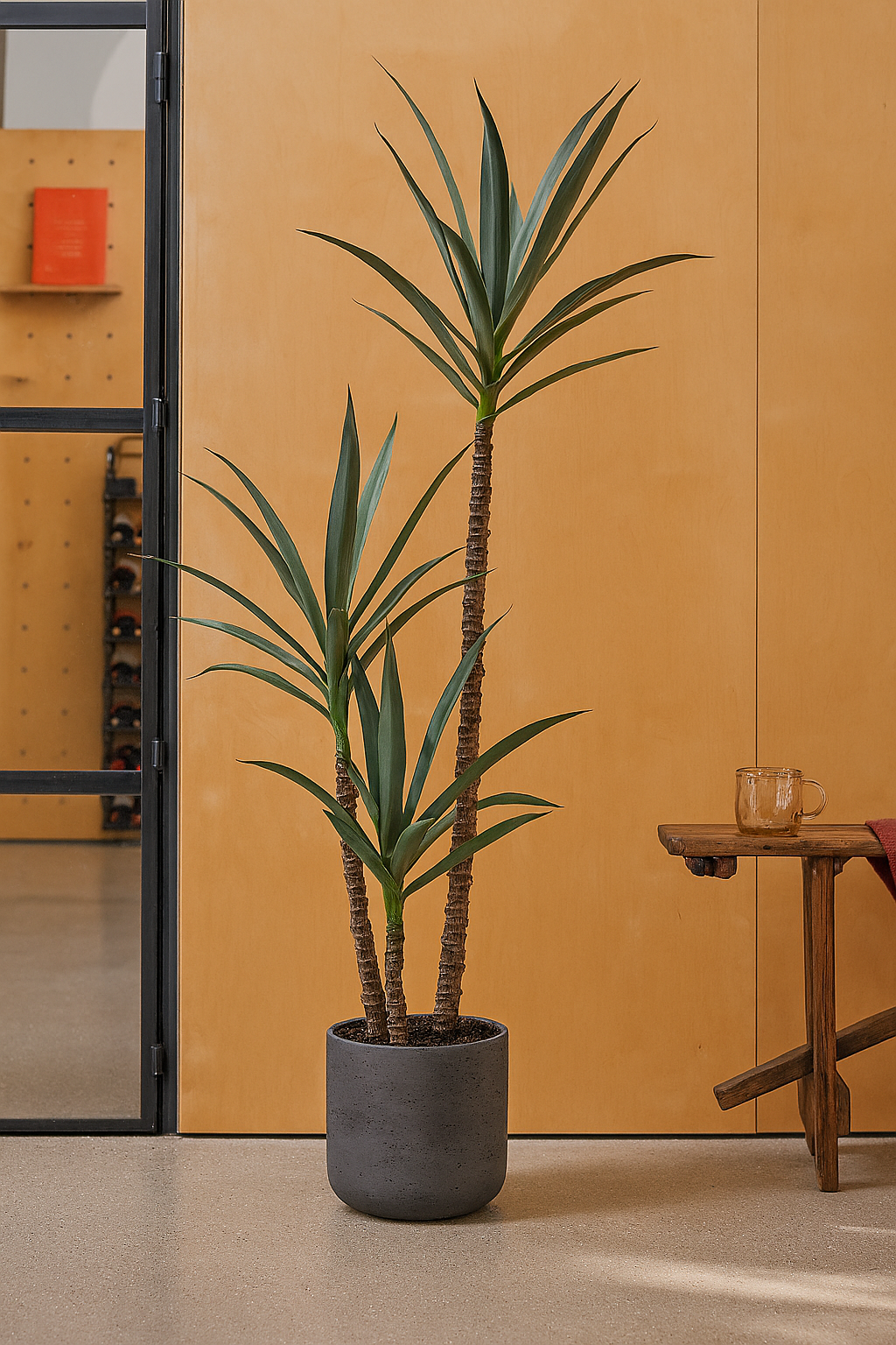 MediterraneOase™ - Ausdrucksstarke Yucca-Pflanze