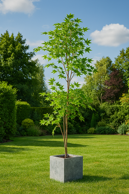 Ostgarten™- Künstlicher Ahornbaum (140cm)