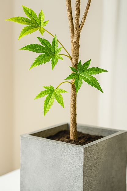 Ostgarten™- Künstlicher Ahornbaum (140cm)