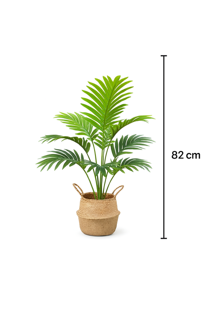 TropenTraum™- Laubbaum