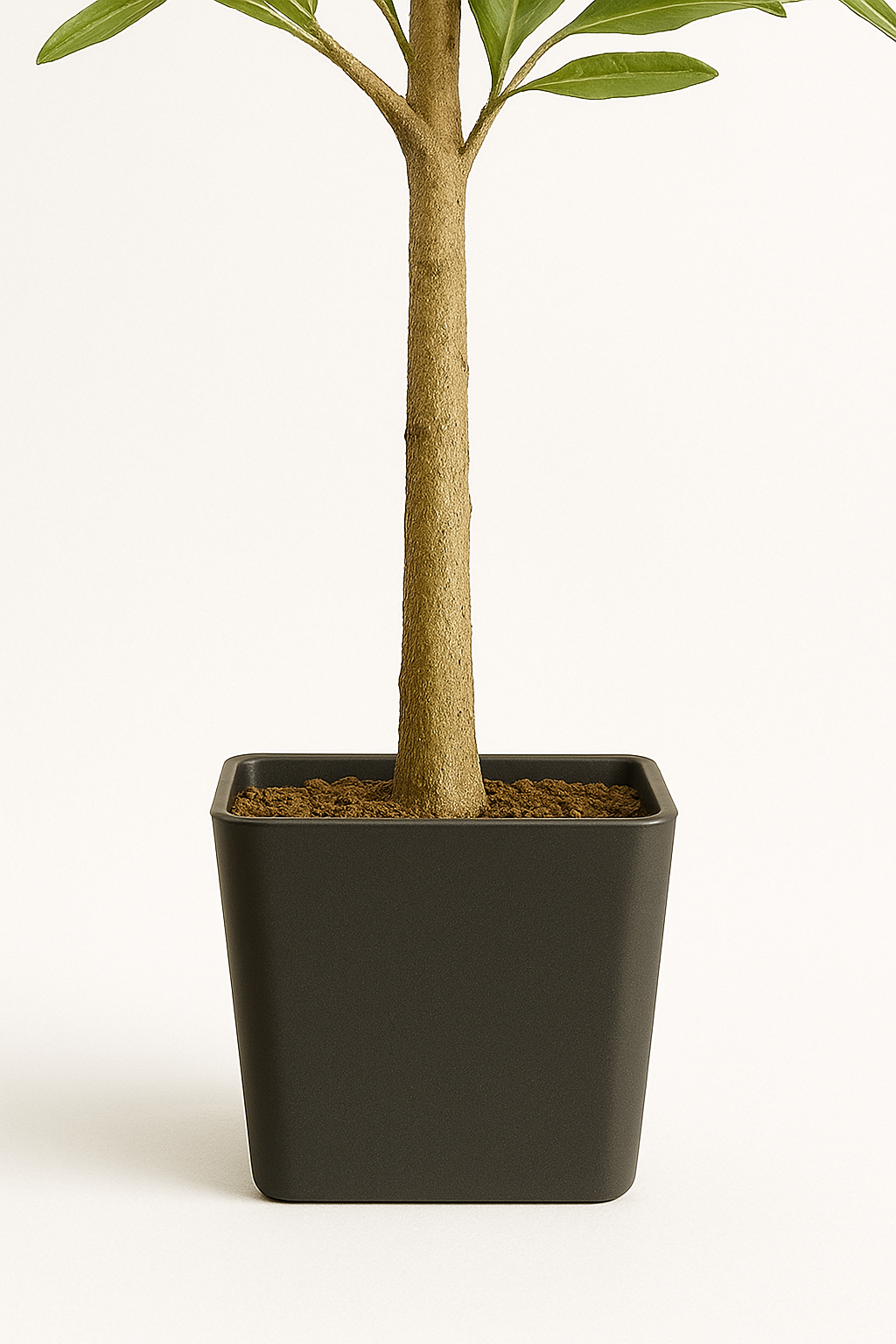 MediterraneanOase™- Künstlicher Olivenbaum (120cm)