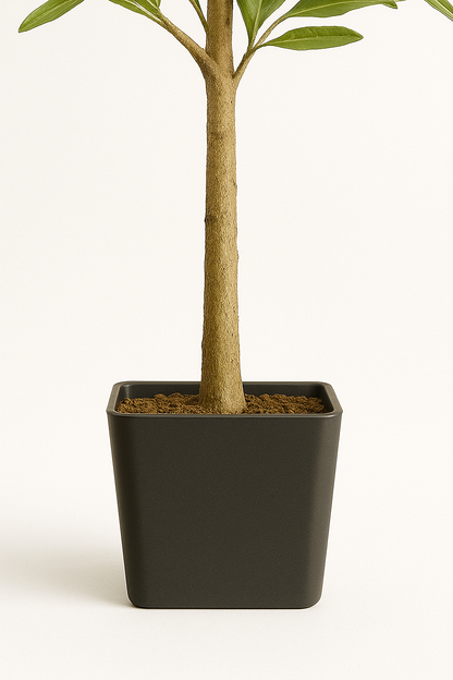 MediterraneanOase™- Künstlicher Olivenbaum (120cm)