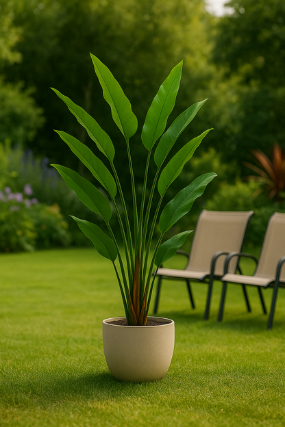 TropenTraum™ – Paradiesvogelblume