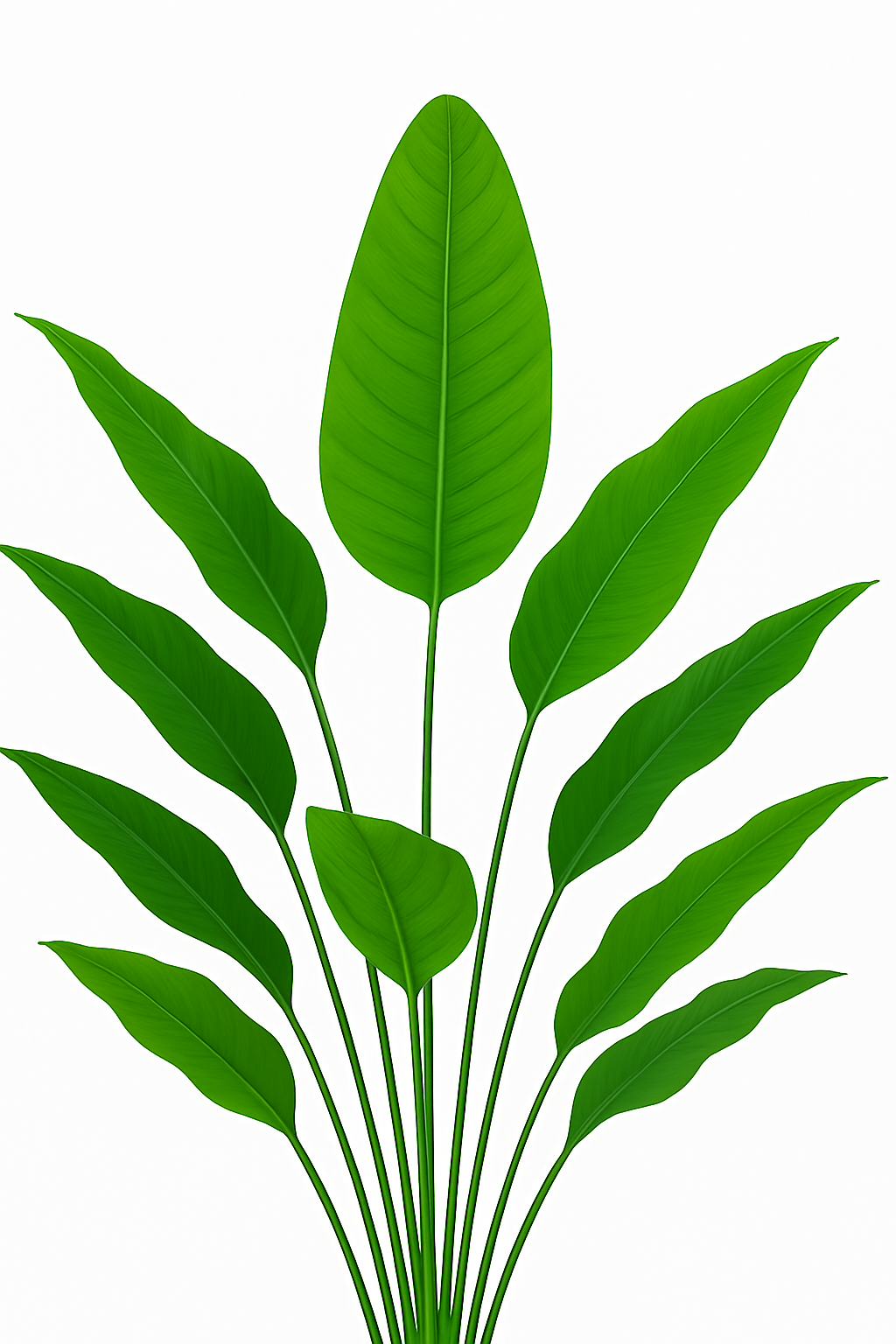 TropenTraum™ – Paradiesvogelblume