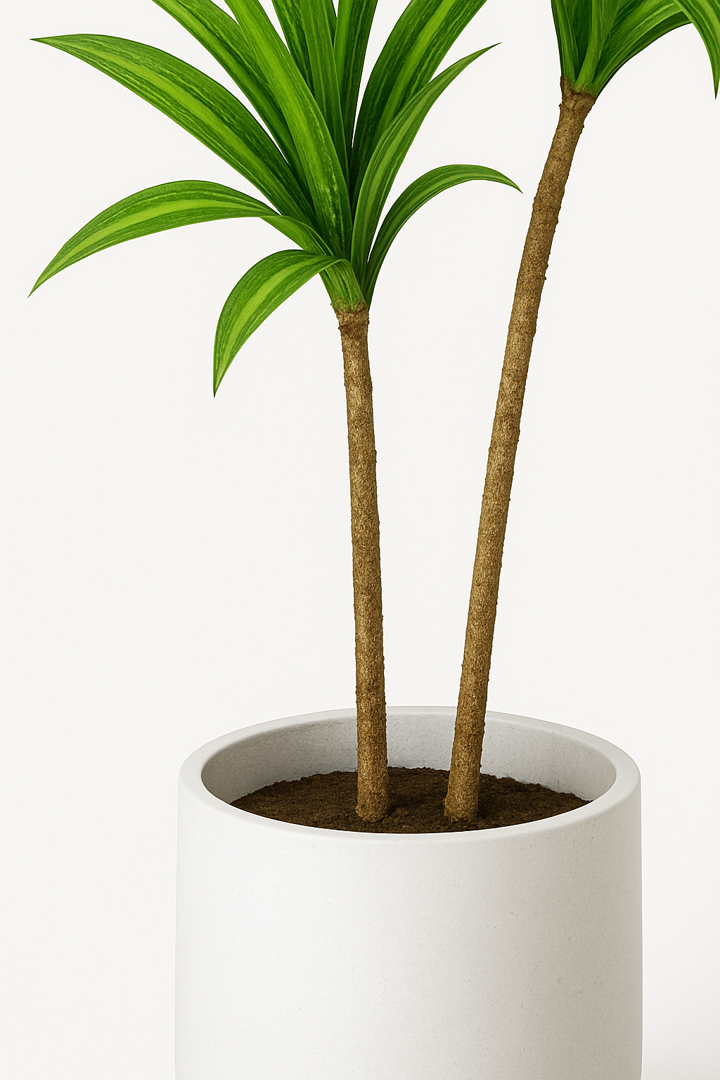 TropenTraum™ Künstliche tropische Pflanzen