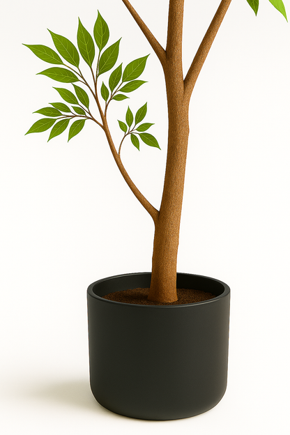 Ostgarten™ - Himmelsbambus