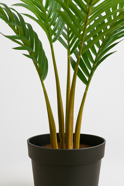 TropenTraum™- Künstlicher Palmenbaum