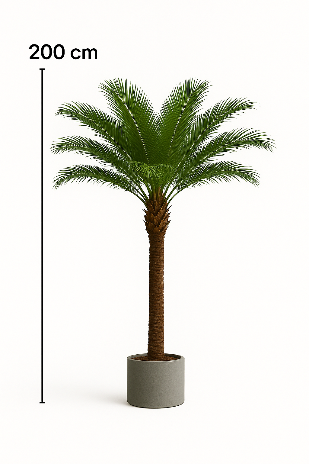 TropenTraum™- Künstlicher Kokosnussbaum