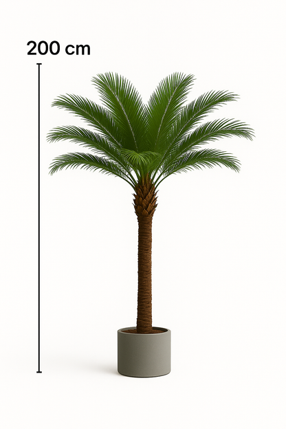 TropenTraum™- Künstlicher Kokosnussbaum