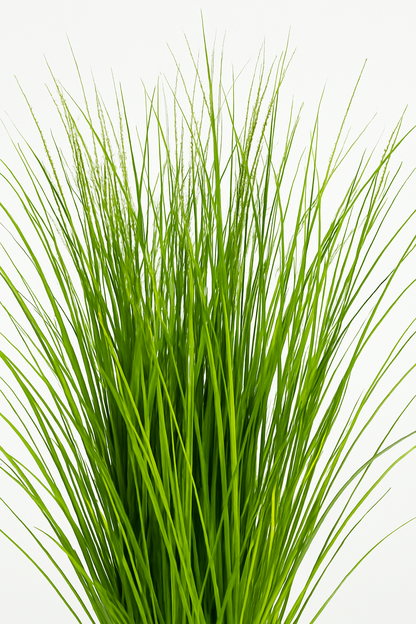 Ostgarten™- Künstliche Schilfgraspflanze