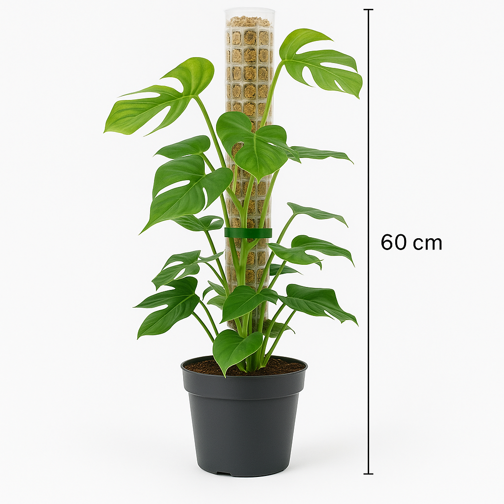 TropenTraum™- Moosstab-Plastikpflanze