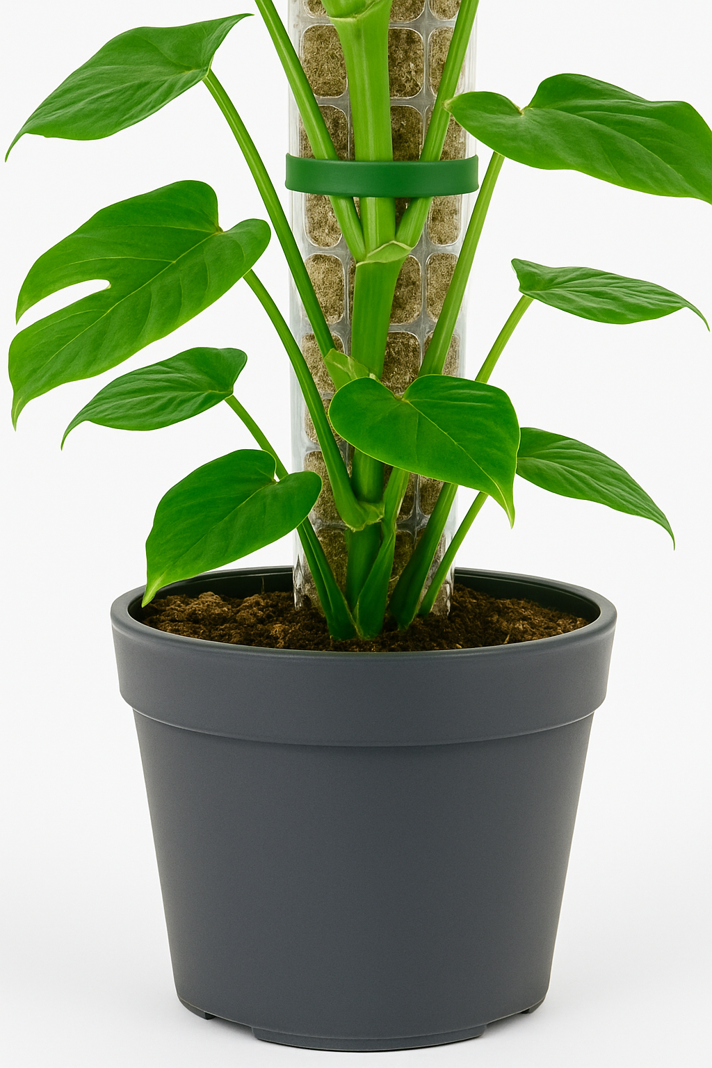 TropenTraum™- Moosstab-Plastikpflanze