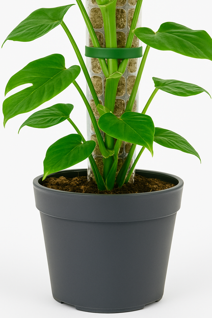 TropenTraum™- Moosstab-Plastikpflanze