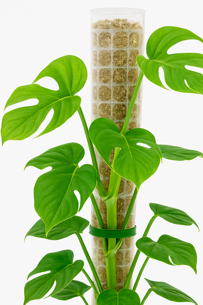 TropenTraum™- Moosstab-Plastikpflanze