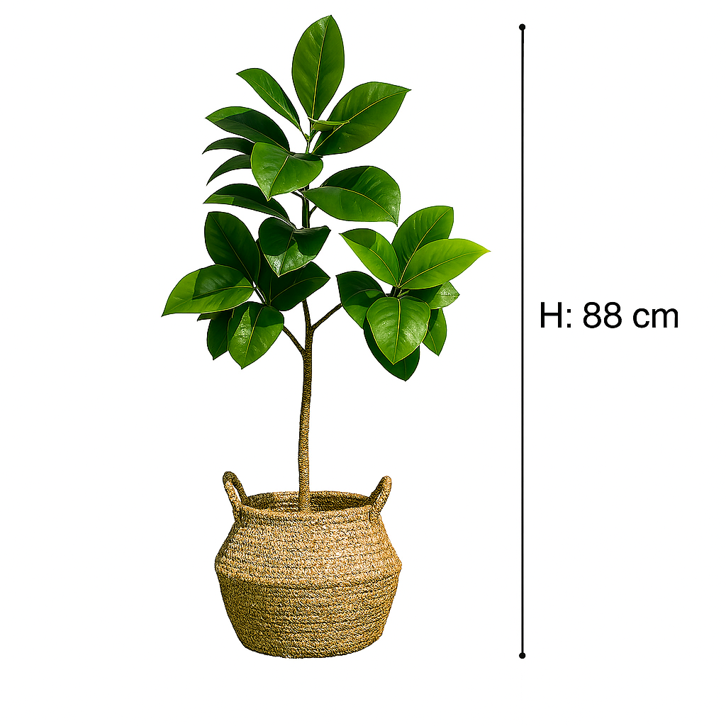 TropenTraum™- Künstlicher Ficus-Baum