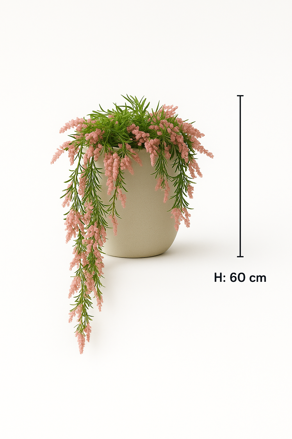 MediterraneOase™ - Calluna Vulgaris Hängepflanze
