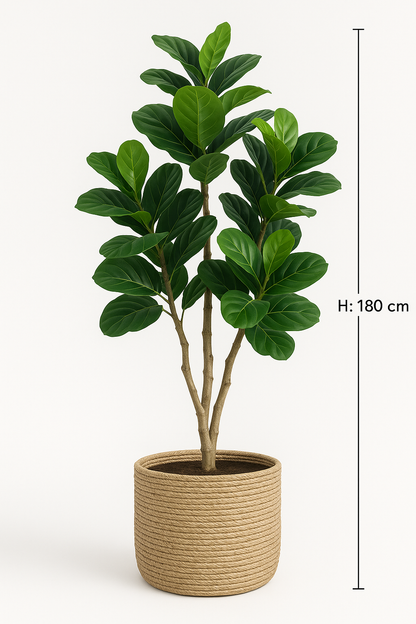 TropenTraum™- Künstlicher Fiddle Lift Feigenbaum