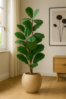 TropenTraum™- Künstlicher Fiddle Lift Feigenbaum