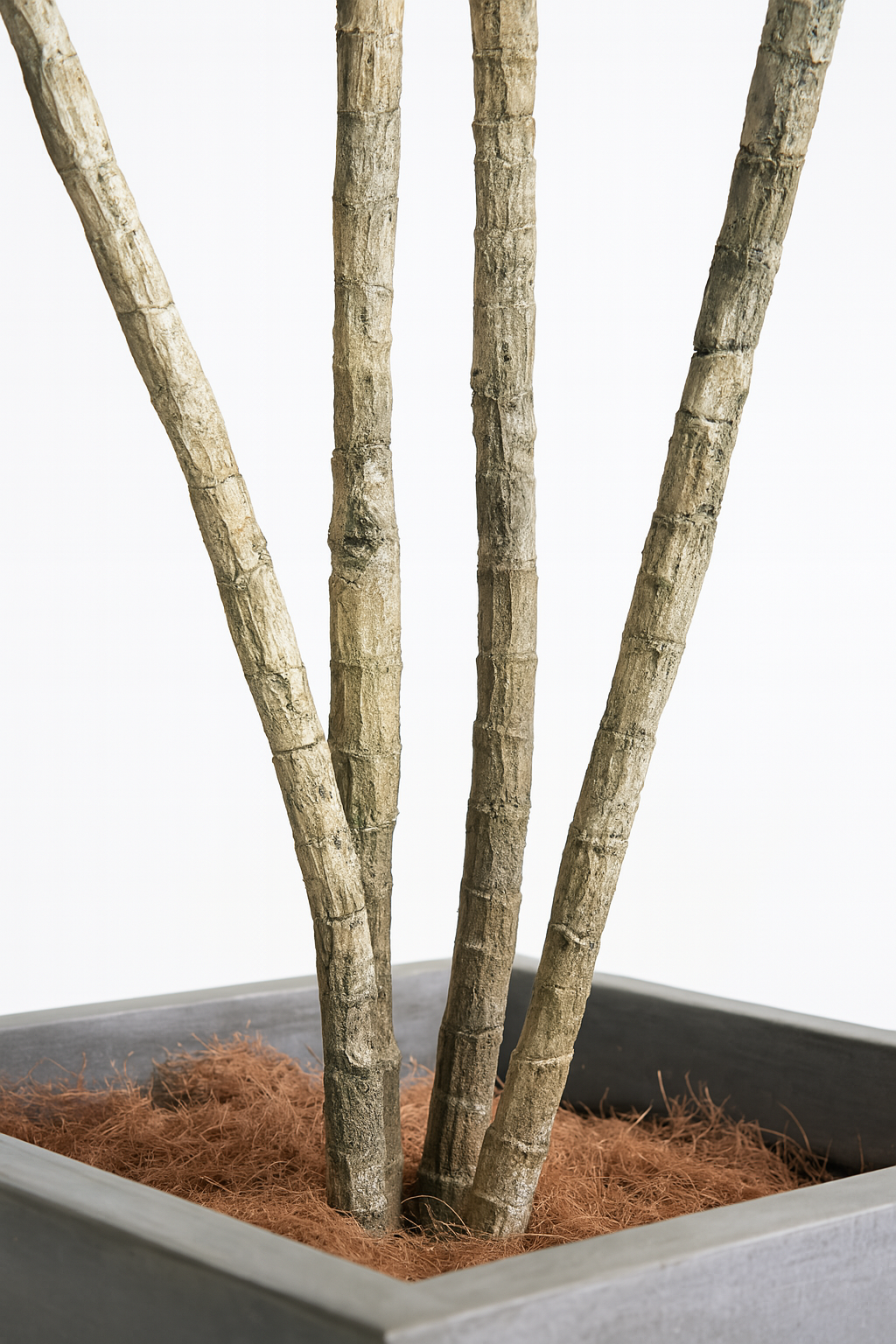 TropenTraum™- Künstlicher Agavenbaum