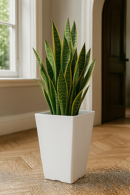 Moderner, konisch zulaufender quadratischer Pflanztopf