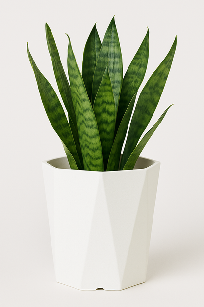 Diamant-Kunstharz-Blumentopf