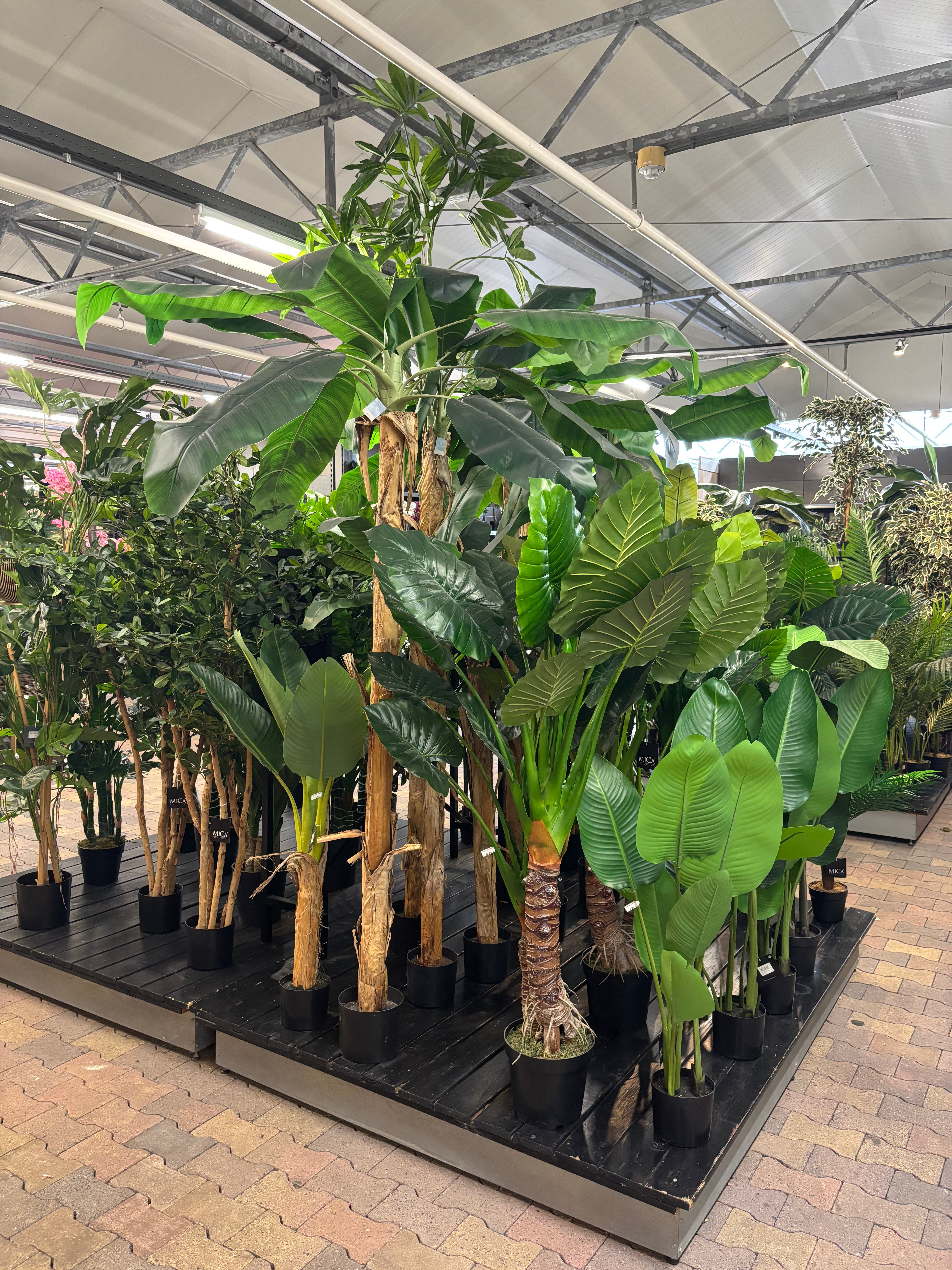 Branchenprimus mit breitem Sortiment