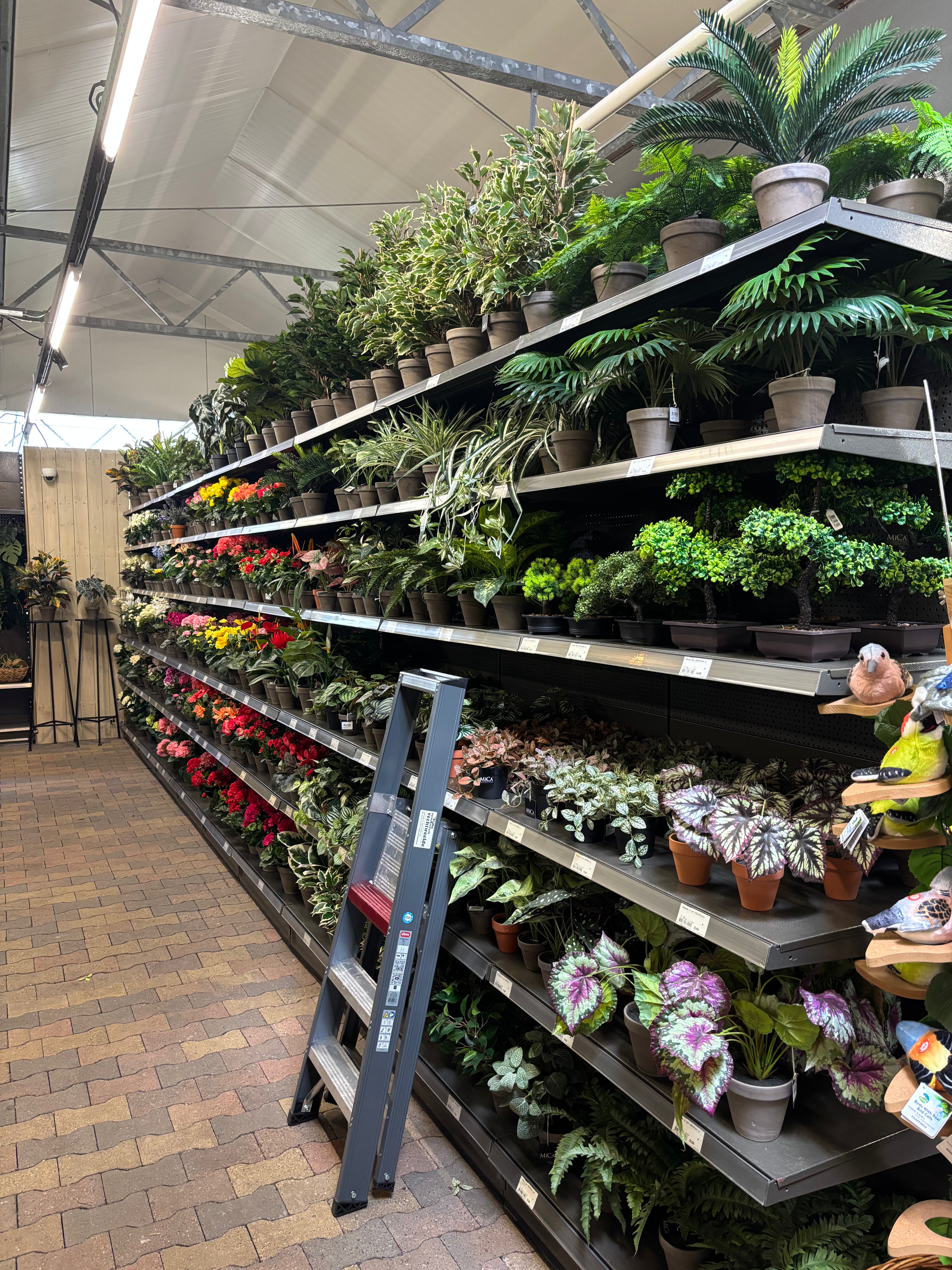 Branchenprimus mit breitem Sortiment