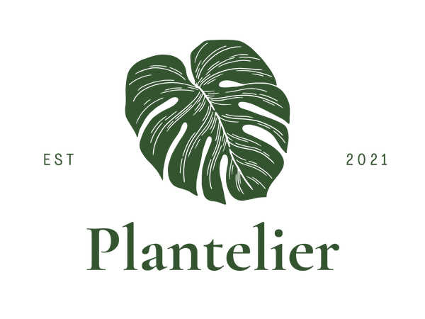 Plantelier