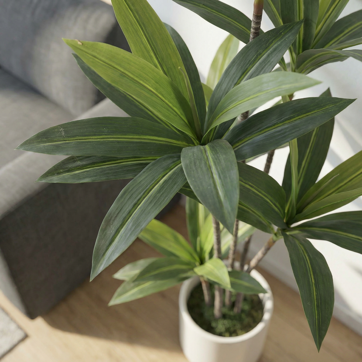 Künstliche Yucca Dracaena 180 cm