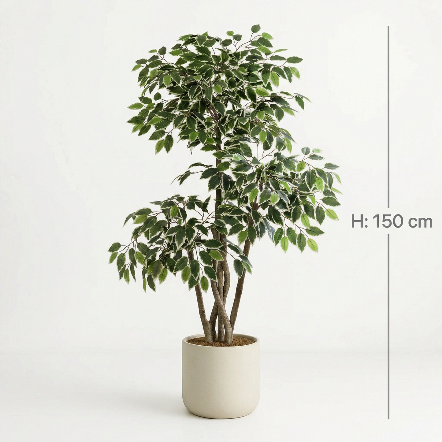Künstlicher Ficus Benjamina 150 cm mit Dekotopf