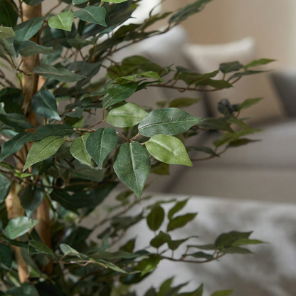 Künstlicher Ficus Alii 150 cm