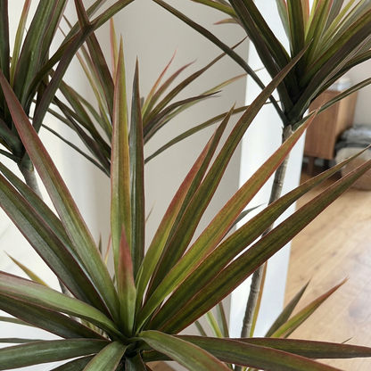 Künstliche Stiele Dracaena Marginata 120 cm